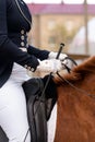 Equestrian in formal attire riding a chestnut horse