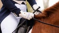 Equestrian in formal attire riding a chestnut horse