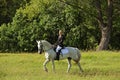 Equestrian girl in english style trial riding white dressage horse Royalty Free Stock Photo