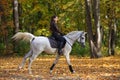 Equestrian girl ride grey arabian horse in autumn woods