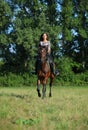 Equestrian girl with sportive horse runs gallop in nature background Royalty Free Stock Photo