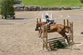 Equestrian - horse jumping