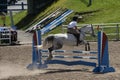 Equestrian, horse jumping