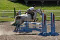 Equestrian - horse jumping