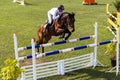 Equestrian Horse Jump Downward Photo Royalty Free Stock Photo