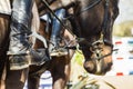 Equestrian Horse Rider Boots Closeup