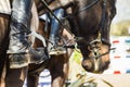 Equestrian Horse Rider Boots Closeup Royalty Free Stock Photo