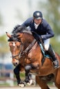 Equestrian Horse Rider Jumping.Picture showing a competitor performing in show jumping competition Royalty Free Stock Photo