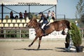 Equestrian Horse Rider Jumping.Picture showing a competitor performing in show jumping competition Royalty Free Stock Photo