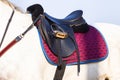 Equestrian Horse Saddle Closeup