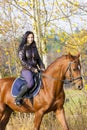 Equestrian on horseback