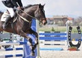 Equestrian jumping on brown horse