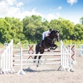 Equestrian jumping competition background