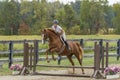 Equestrian jumps gelding over simple fence