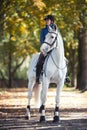 Equestrian lady riding white horseback in autumn alley