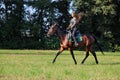 Equestrian girl with sportive horse runs gallop in nature background