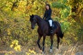 Equestrian model girl riding sportive dressage horse in autumn forest Royalty Free Stock Photo