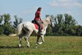 Equestrian model girl riding sportive dressage horse in summer fields Royalty Free Stock Photo
