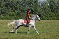 Equestrian model girl riding sportive dressage horse in summer fields