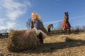 Equestrian Model and Horses Royalty Free Stock Photo