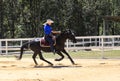 Equestrian performance in paradise country aussie farm,gold coast,australia