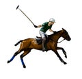 Equestrian polo with a jockey from splash of watercolors, colored drawing, realistic, Horseback riding