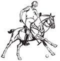 Equestrian polo player on a pony horseback