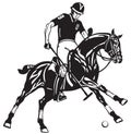 Equestrian polo player on a black pony horse Royalty Free Stock Photo