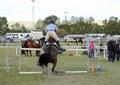 Equestrian rider & dressage show horse jumping hurdle on course