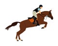 Equestrian rider in jumping over barrier show. Elegant racing horse in gallop vector illustration isolated on white background.