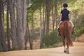 Equestrian, riding and horse on trail in nature on adventure and journey in countryside mockup. Ranch, animal and back Royalty Free Stock Photo