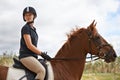 Equestrian, riding and woman on horse in nature on adventure and journey in countryside. Ranch, animal and rider outdoor Royalty Free Stock Photo