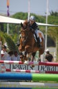 Equestrian Show Jumping Royalty Free Stock Photo