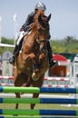 Equestrian Show Jumping Royalty Free Stock Photo