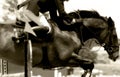Equestrian Show Jumping Close-up #2 (Sepia)) Royalty Free Stock Photo