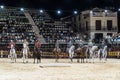 Equestrian show passion and duende of the andalusian horse in arganda del rey