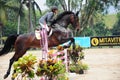 Equestrian Showjumping 3Q Classic