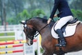 Equestrian showjumping