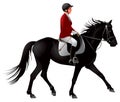 Equestrian sport black horse rider Royalty Free Stock Photo