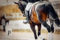 Equestrian sport. Dressage of horses in the arena