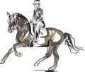 Equestrian sport - dressage