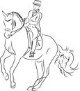 Equestrian sport - dressage