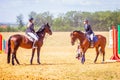 Equestrian sport dressage, walkthrough - young girls in jockey clothes sit on a horse