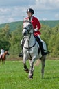Equestrian sport. female rider show jumps