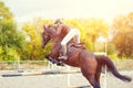 Equestrian sport image. Show jumping competition Royalty Free Stock Photo