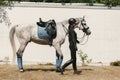 Equestrian sport. Portrait of young woman, female rider training at riding arena in summer day, outdoors. Dressage of Royalty Free Stock Photo