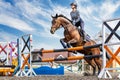 Equestrian sport. Show jumping competition. Young rider horseback girl jumping over an obstacle Royalty Free Stock Photo