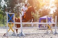 Equestrian sport. Young girl jumping over obstacle Royalty Free Stock Photo