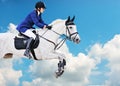 Equestrian sport: young girl in jumping show