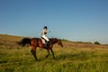 Equestrian sport. Young woman riding horse on dressage advanced test Royalty Free Stock Photo